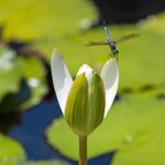Führung durch den Botanischen Garten